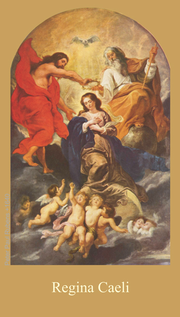 Regina Caeli Latin/English Prayer Card